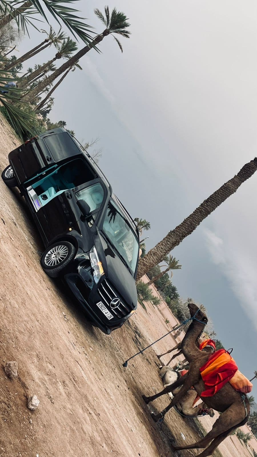 M VITO MAYBAKH avec chauffeur detail
